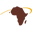 Air Cape logo