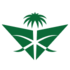 Saudi Arabian Airlines logo