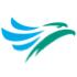 Cebu Pacific route map logo