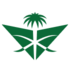 Saudi Arabian Airlines logo